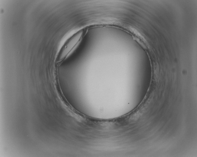 X0000075891085200610062047