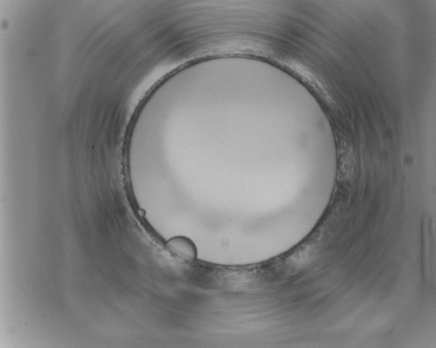 X0000075891086200610062047