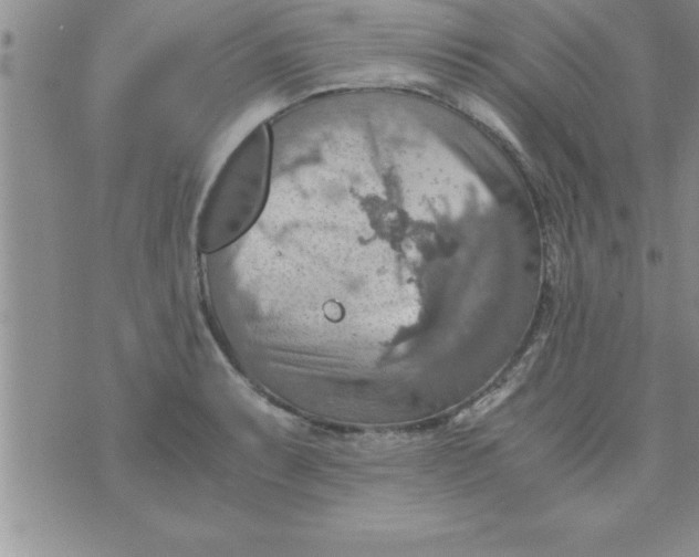 X0000075891087200610062047