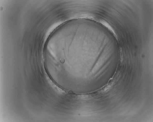 X0000075891088200610062047