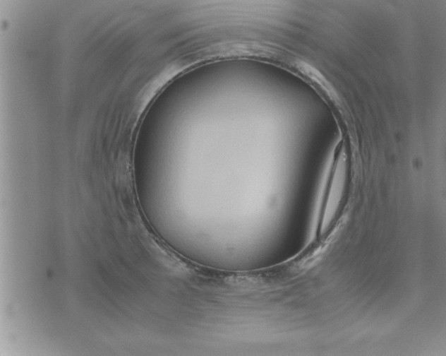 X0000075891089200610062047