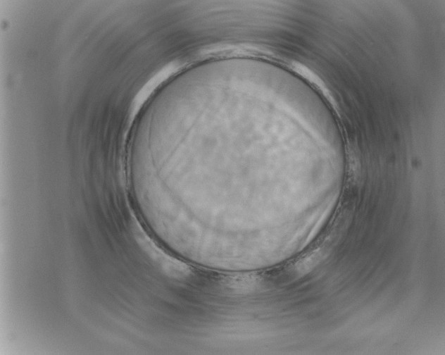 X0000075891090200610062047