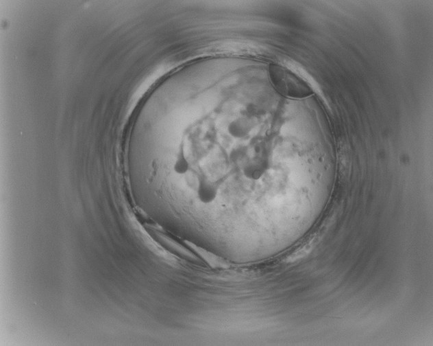 X0000075891091200610062047