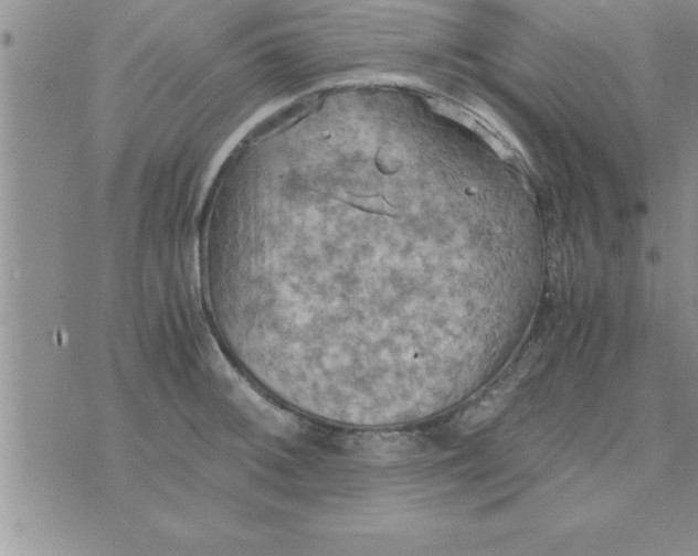 X0000075891092200610062047