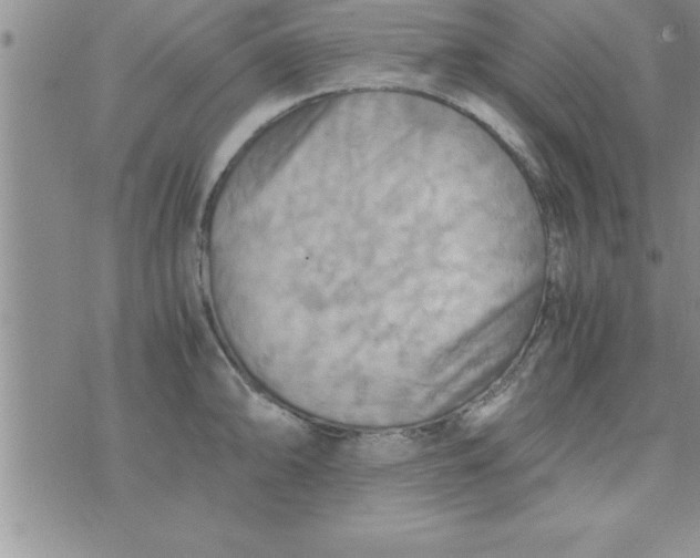 X0000075891094200610062046