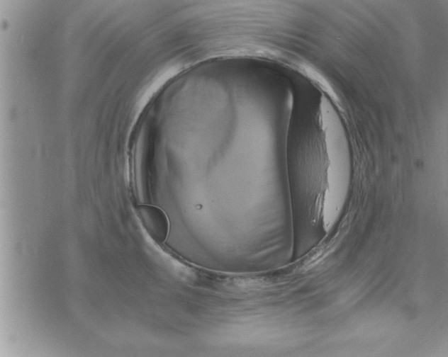 X0000075891095200610062046