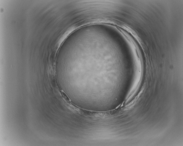 X0000075891097200610062046