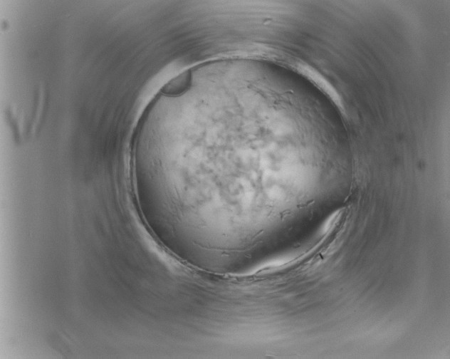 X0000075891099200610062046