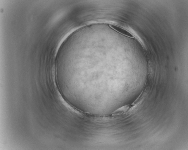 X0000075891100200610062046