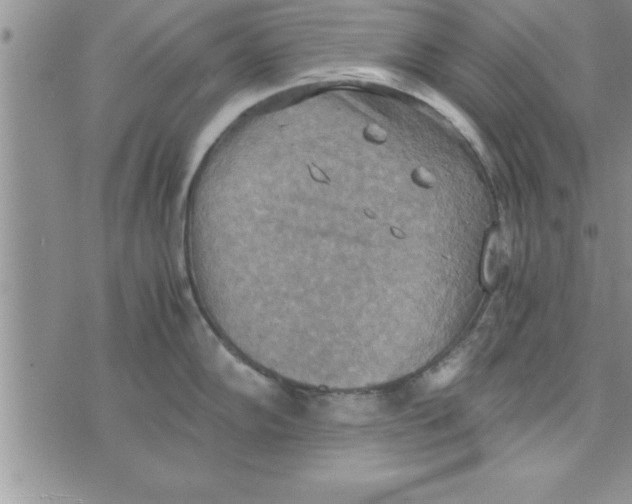 X0000075891102200610062046