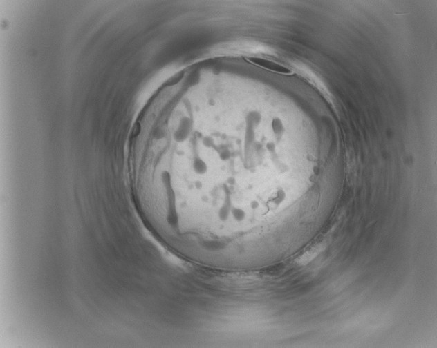 X0000075891103200610062046