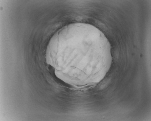 X0000075891105200610062046