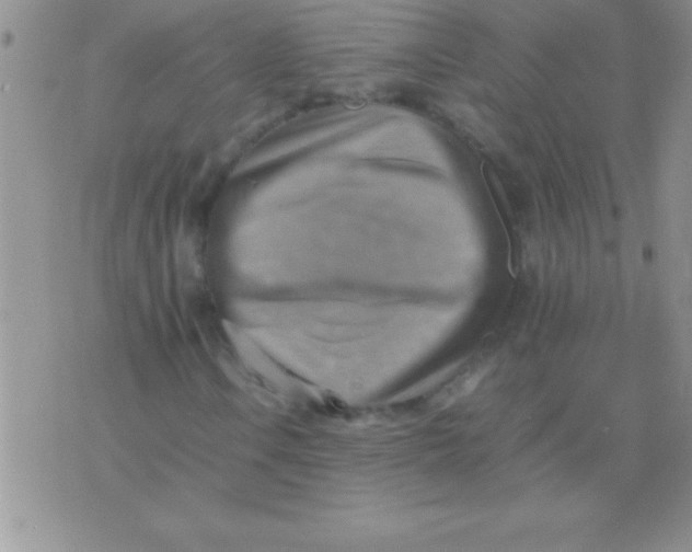 X0000075891106200610062046