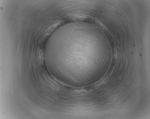 X0000075891108200610062046