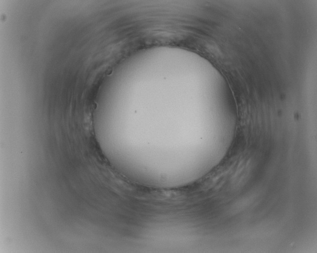 X0000075891109200610062046