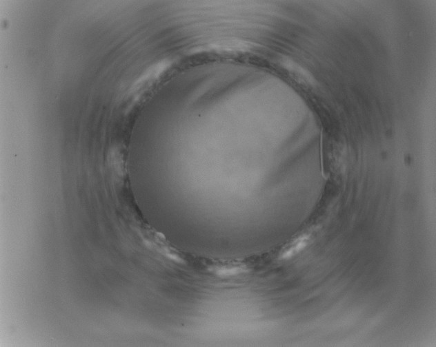 X0000075891110200610062046