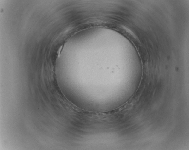 X0000075891111200610062046