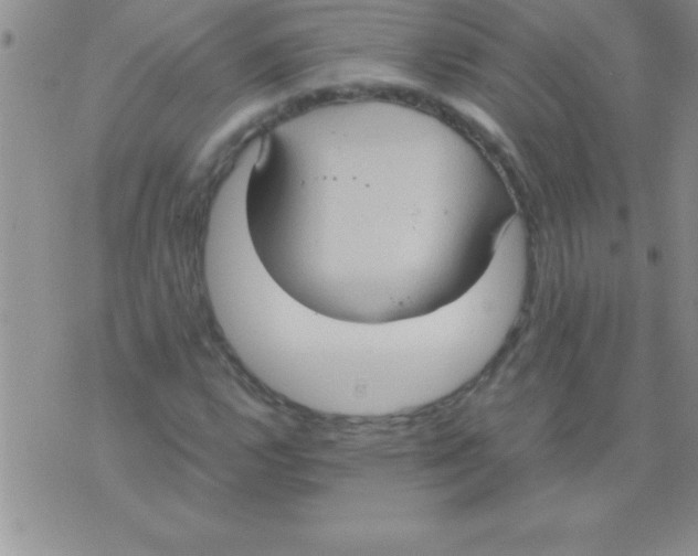 X0000075891112200610062046