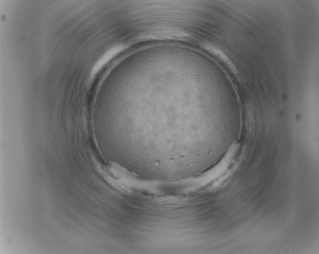 X0000075891114200610062046