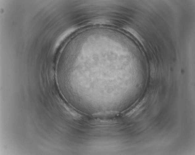 X0000075891115200610062046