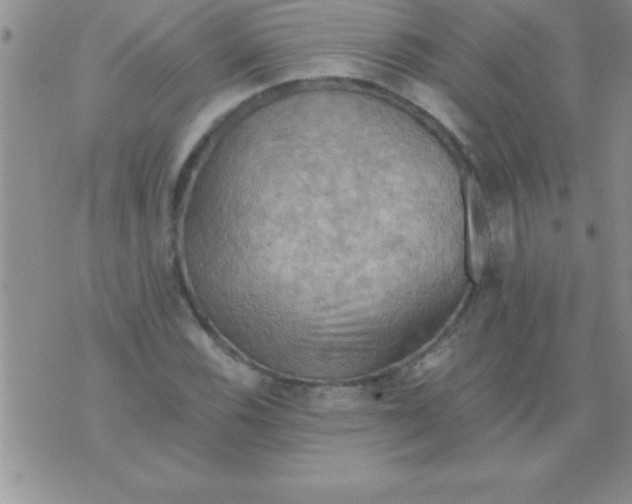 X0000075891116200610062046