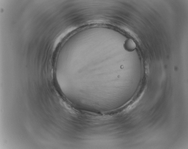 X0000075891117200610062046