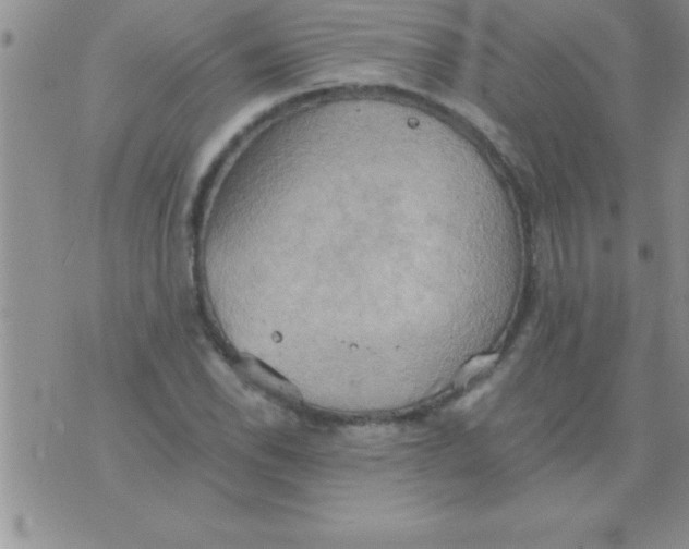 X0000075891118200610062046