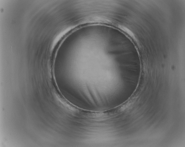 X0000075891120200610062046