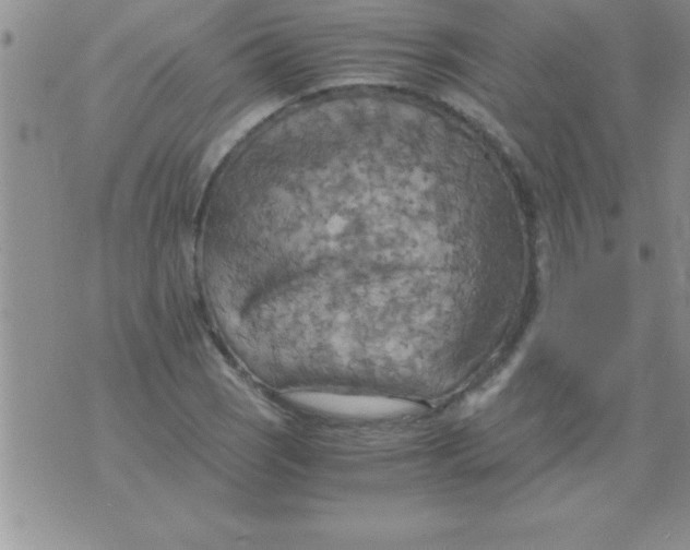 X0000075891121200610062046