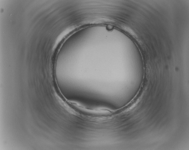 X0000075891122200610062046