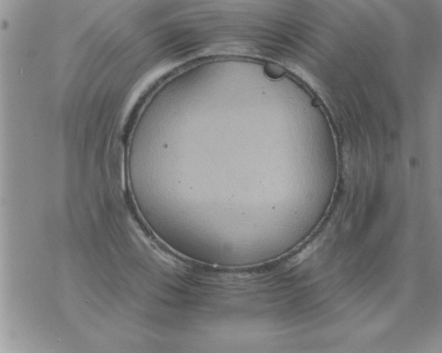 X0000075891123200610062046