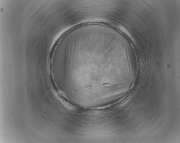 X0000075891124200610062046