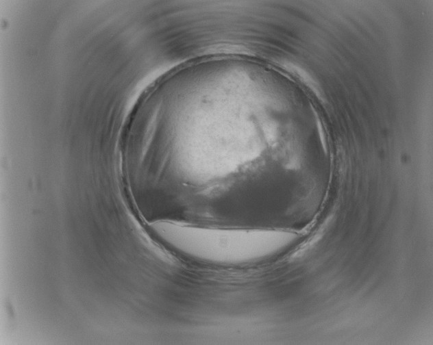 X0000075891125200610062046