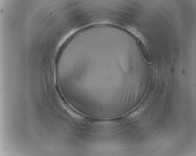 X0000075891127200610062046