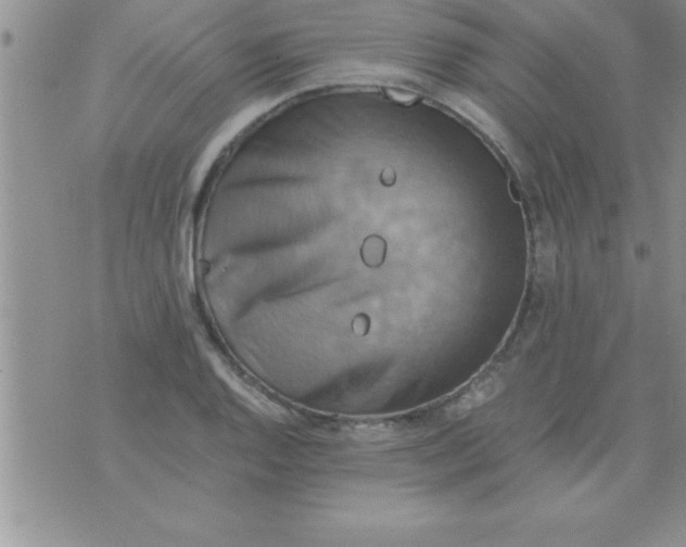 X0000075891128200610062046