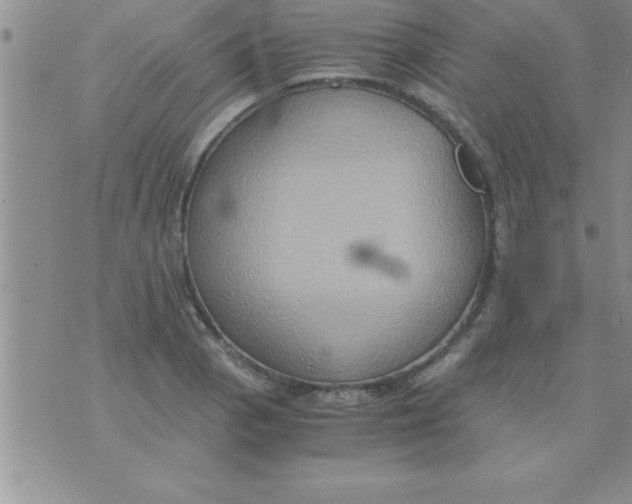 X0000075891129200610062046