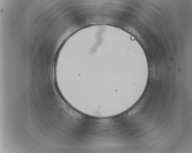 X0000075891130200610062046