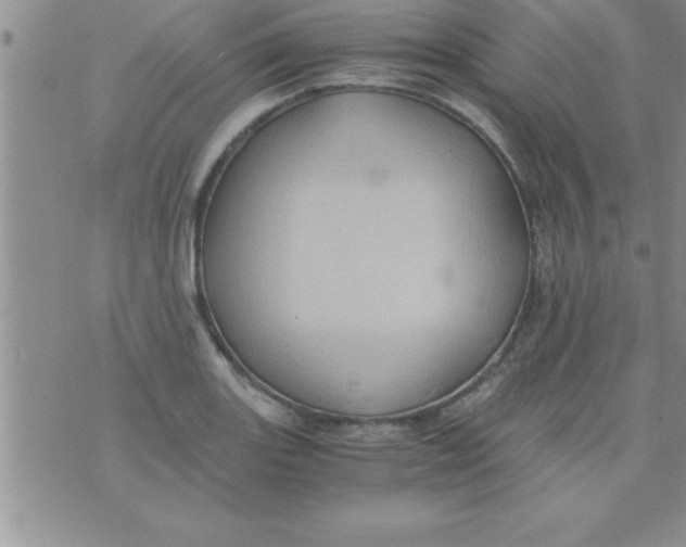 X0000075891131200610062046