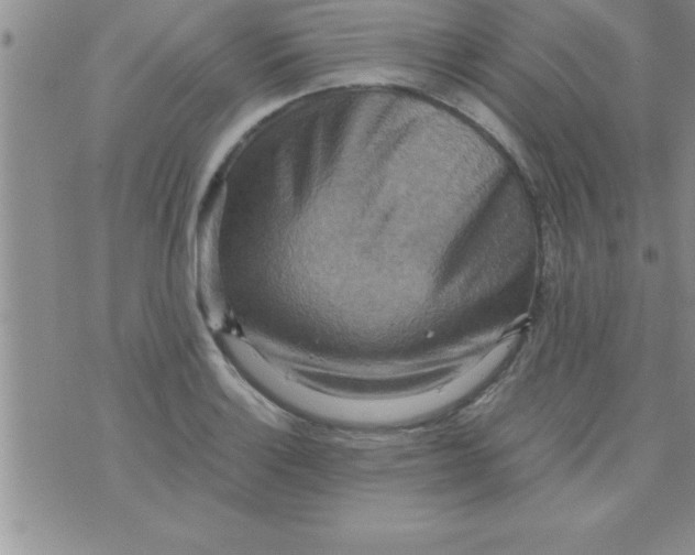 X0000075891132200610062046