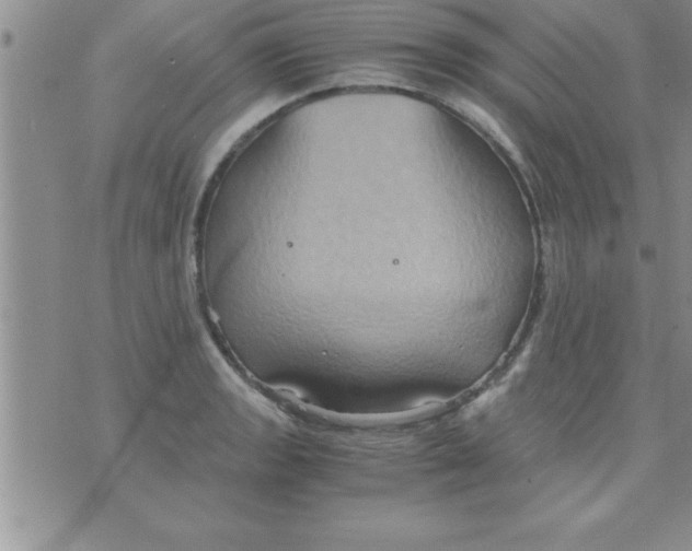 X0000075891133200610062046