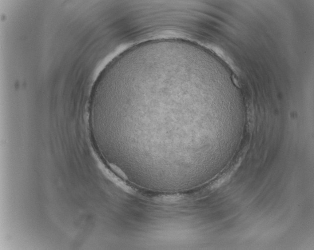 X0000075891134200610062046