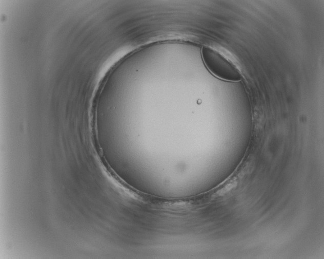 X0000075891135200610062046