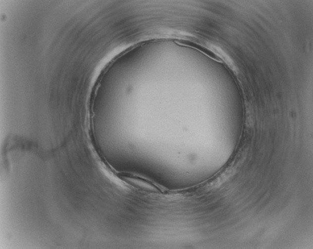 X0000075891136200610062046