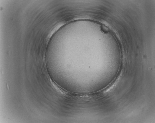 X0000075891137200610062046