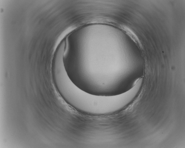 X0000075891138200610062046