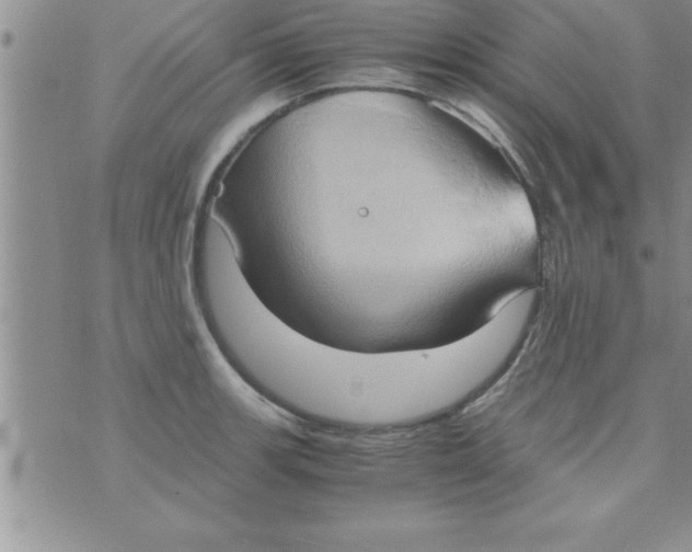 X0000075891139200610062046