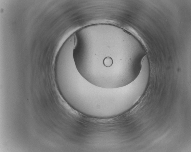 X0000075891140200610062046