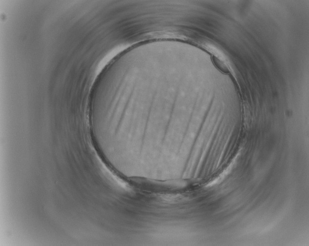 X0000075891141200610062046