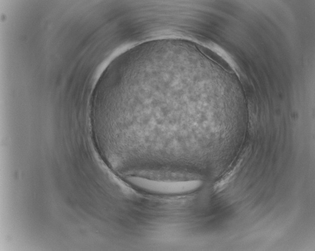 X0000075891142200610062046