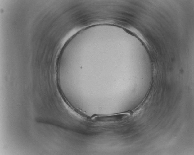 X0000075891143200610062046